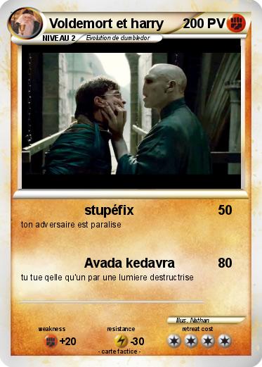 Pokemon Voldemort et harry