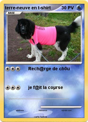 Pokemon terre-neuve en t-shirt