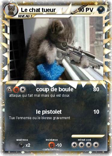 Pokemon Le chat tueur