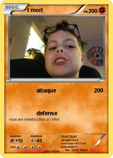 Pokemon t mort