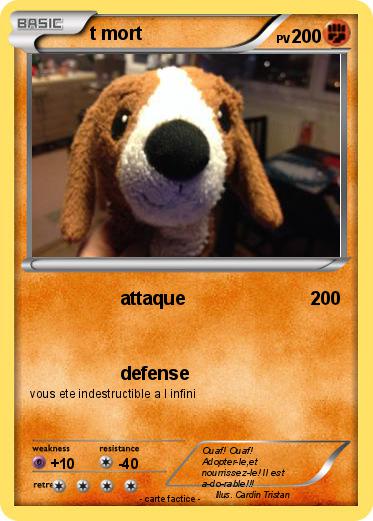 Pokemon t mort