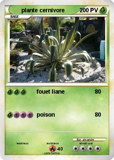Pokemon plante cernivore
