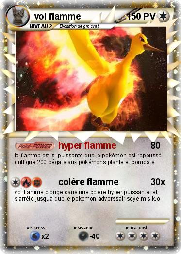 Pokemon vol flamme