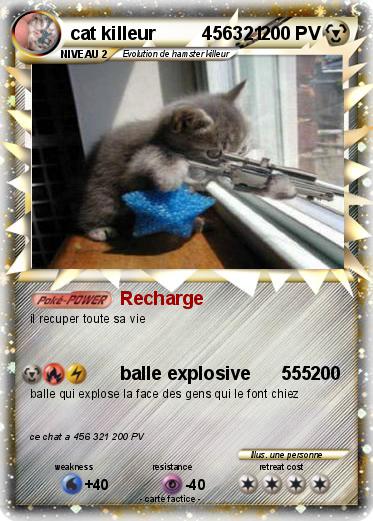 Pokemon cat killeur         456321
