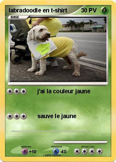 Pokemon labradoodle en t-shirt