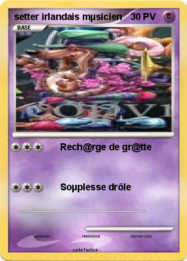 Pokemon setter irlandais mµsicien