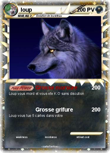 Pokemon loup