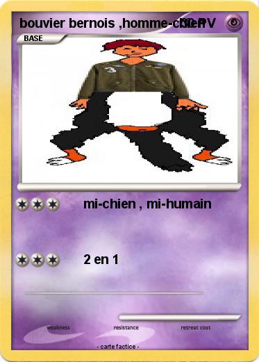 Pokemon bouvier bernois ,homme-chien