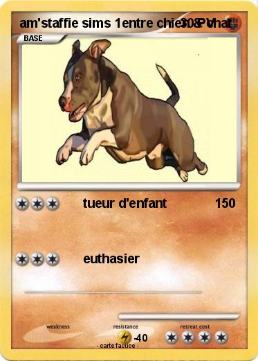 Pokemon am'staffie sims 1entre chien & chat