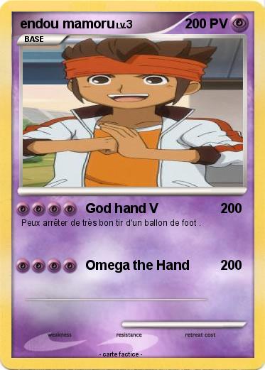 Pokemon endou mamoru