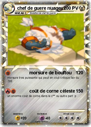 Pokemon chef de guere nuageux