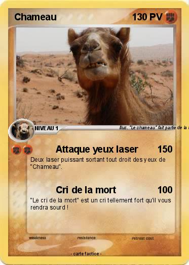 Pokemon Chameau