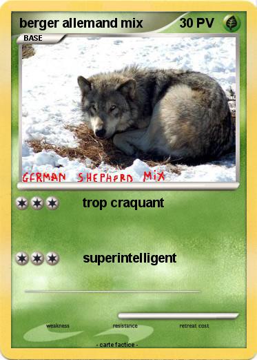 Pokemon berger allemand mix
