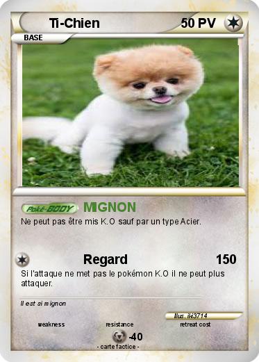 Pokemon Ti-Chien