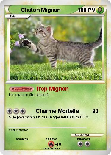 Pokemon Chaton Mignon