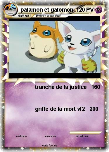 Pokemon patamon et gatomon