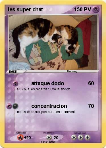 Pokemon les super chat