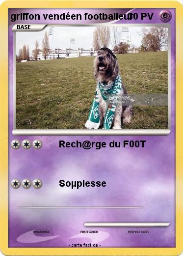Pokemon griffon vendéen footballeur