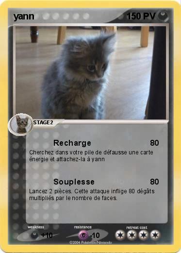 Pokemon yann