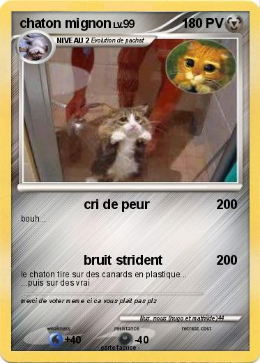 Pokemon chaton mignon