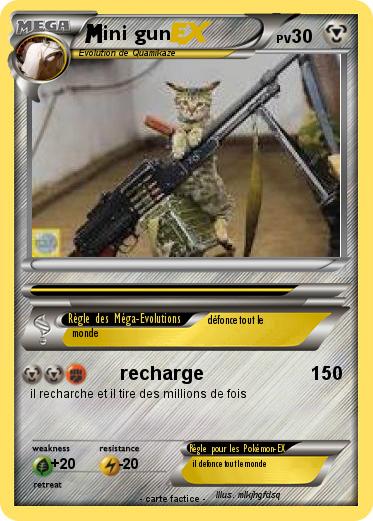 Pokemon ini gun