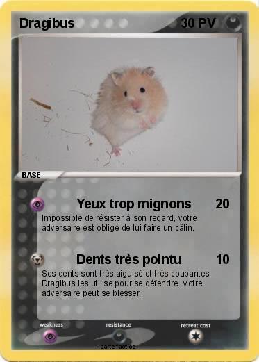 Pokemon Dragibus