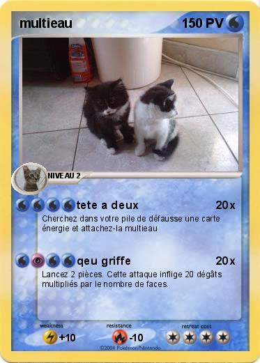 Pokemon multieau