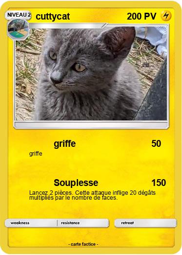 Pokemon cuttycat