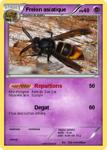 Pokemon Frelon asiatique