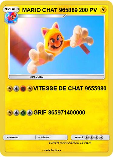 Pokemon MARIO CHAT 965889