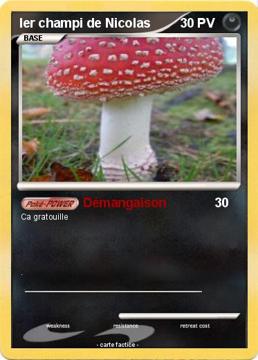 Pokemon ler champi de Nicolas