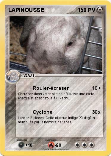 Pokemon LAPINOUSSE