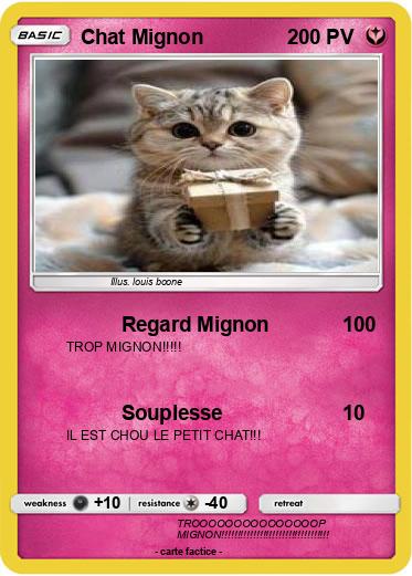 Pokemon Chat Mignon