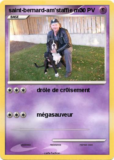 Pokemon saint-bernard-am'staffie mix