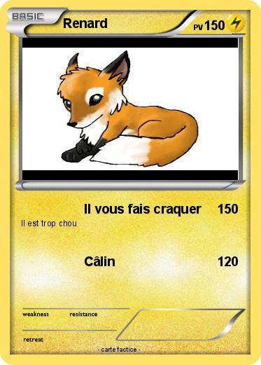 Pokemon Renard