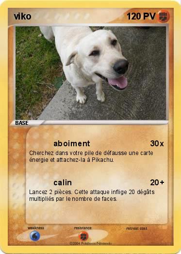 Pokemon viko