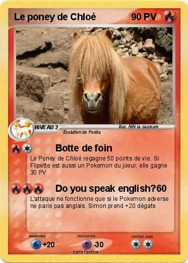 Pokemon Le poney de Chloé