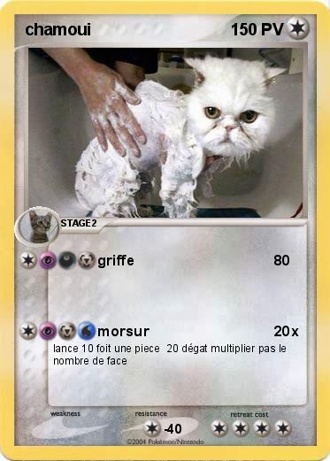 Pokemon chamoui