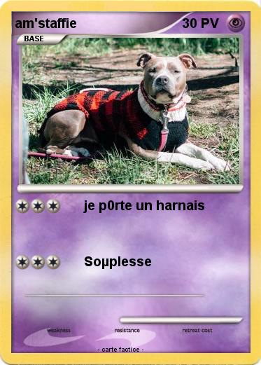 Pokemon am'staffie