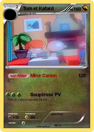 Pokemon Tom et Kafard