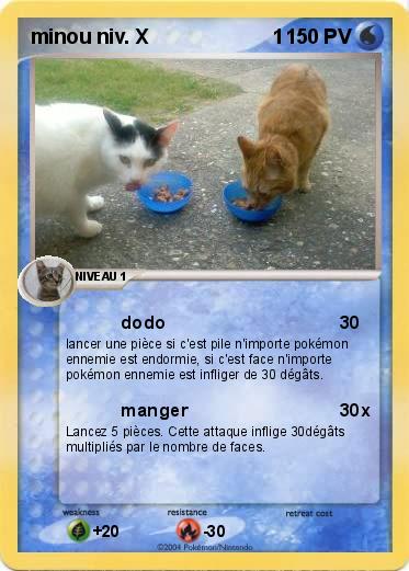 Pokemon minou niv. X                      1