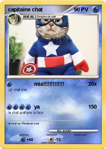 Pokemon capitaine chat