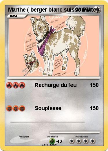 Pokemon Marthe ( berger blanc suisse mixte )