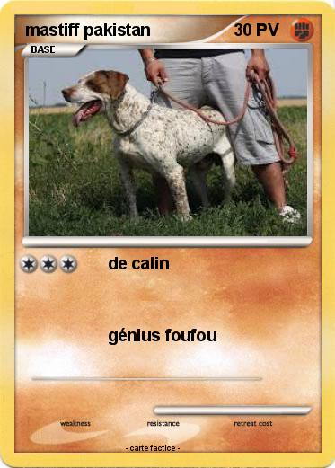 Pokemon mastiff pakistan