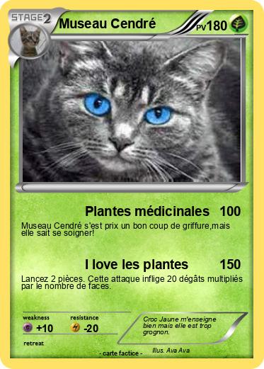 Pokemon Museau Cendré
