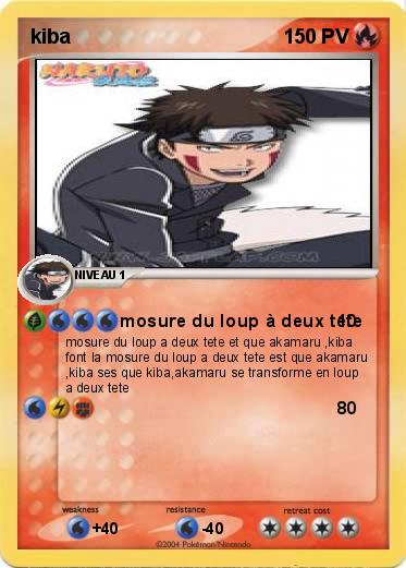 Pokemon kiba
