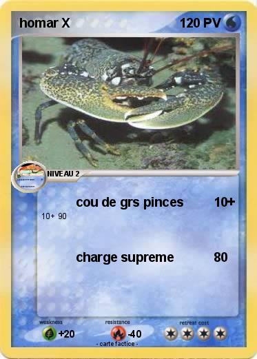 Pokemon homar X