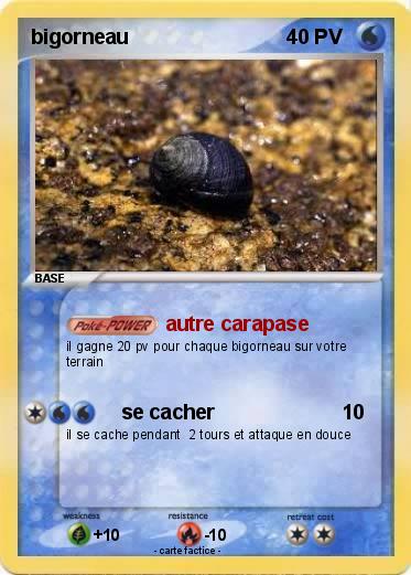 Pokemon bigorneau