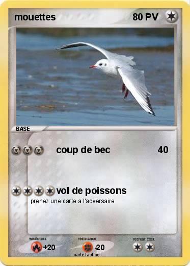 Pokemon mouettes