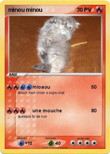 Pokemon minou minou